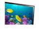 Фото - Телевизор Samsung UE50F5000AKXUA